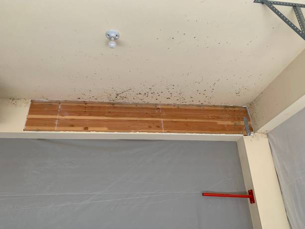 Asbestos and Lead Testing During Mold Inspection in Valley Hill, NC